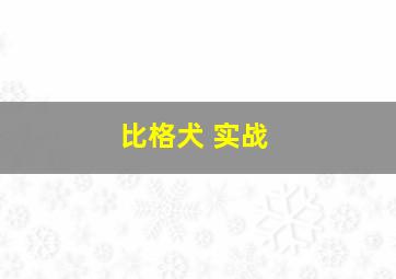 比格犬 实战